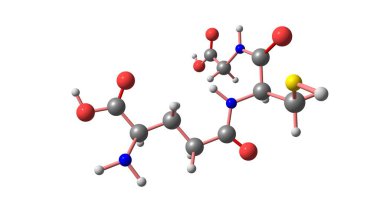 Glutathione (GSH) bitkiler, hayvanlar, mantarlar ve bazı bakteriler ve arkealarda bulunan bir antioksidandır. 3d illüstrasyon