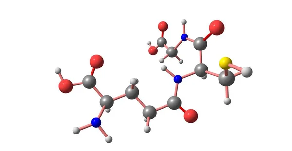 グルタチオンまたはGshは植物 およびいくつかの細菌や古細菌における抗酸化物質です 3Dイラスト — ストック写真