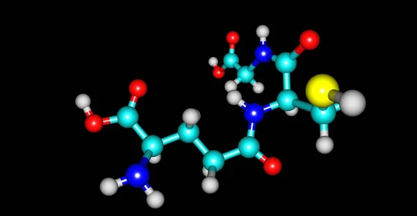 Glutathion Oder Gsh Ist Ein Antioxidans Pflanzen Tieren Pilzen Und — Stockfoto