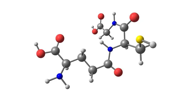 Glutatione Gsh Antiossidante Piante Animali Funghi Alcuni Batteri Archea Illustrazione — Foto Stock