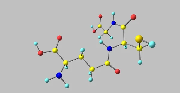 Glutathion Nebo Gsh Antioxidant Rostlinách Zvířatech Houbách Některých Bakteriích Archea — Stock fotografie