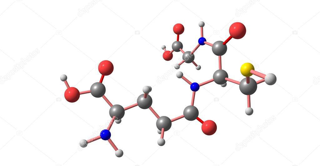 Glutathione or GSH is an antioxidant in plants, animals, fungi, and some bacteria and archaea. 3d illustration