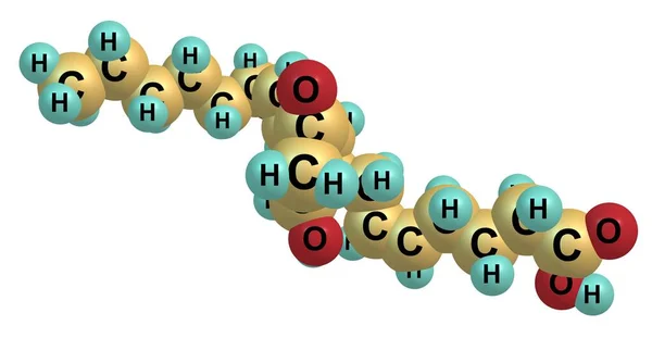 Prostaglandina Pgd2 Una Prostaglandina Que Une Receptor Ptgdr Así Como —  Fotos de Stock