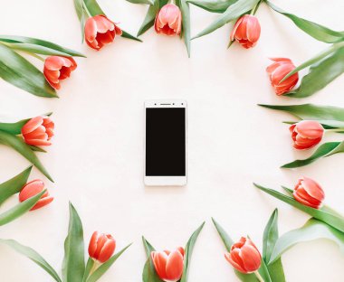 Arka plan kırmızı lale ve bir telefonla
