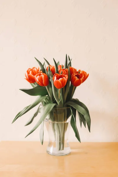 Červené Tulipány Váza Pozadí Stock Obrázky