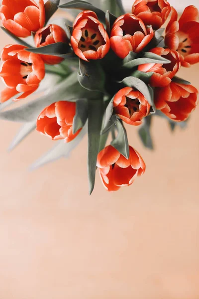 Tulipes Rouges Dans Vase Sur Fond Image En Vente