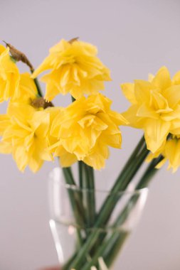 Adam gri arka plandaki cam vazoda bir buket sarı çiçek tutuyor.