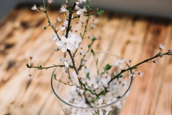 木のテーブルの上に花瓶に花と桜の枝 ストック画像