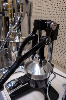 Turunçgil için bastır. Profesyonel paslanmaz çelik sıkacağı..