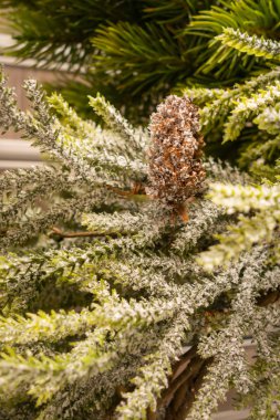 Yeni yıl ve Noel hala hayattadır. Noel ağacı dalları ve c