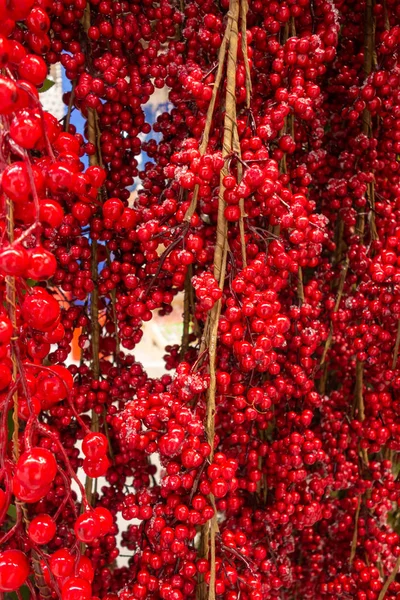 Nowy Rok i Boże Narodzenie martwa natura. Mrożone czerwone jagody w wygranej — Zdjęcie stockowe