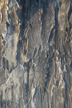 Structural gray aged stucco on the facade of the house. Creative