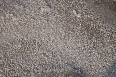 Çatlaklar ve tuz kristalleriyle kurumuş bir su deposunun dibinde.