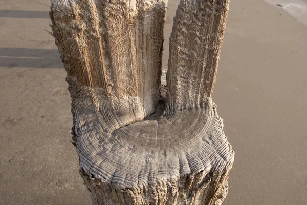 Fantilní Textura Prastarých Dřevěných Pilířů Pokrytých Částicemi Soli — Stock fotografie