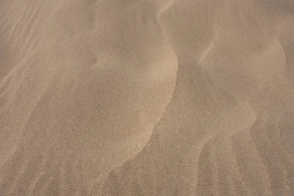 Αμμόλοφοι Κύματα Άμμου Δημιουργικό Ιστορικό Εποχής — Φωτογραφία Αρχείου