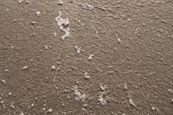 Sandy Bottom Dried Reservoir Cracks Salt Crystals — Stock Photo, Image