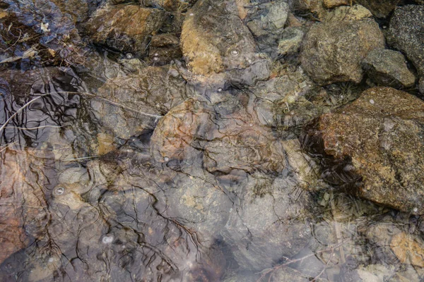 Pierres Fond Une Rivière Montagne Avec Eau Claire Fond Vintage — Photo