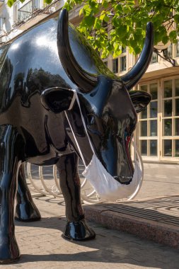 Cerrahi maske takmış siyah inek. Bir salgın sırasında şehir hayatı