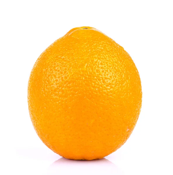 Оранжевый Белом — стоковое фото