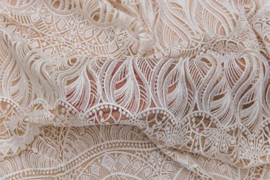 Fildişi renkli dantel kumaşın arkaplan resmi. Bej arkaplanda beyaz dantel.