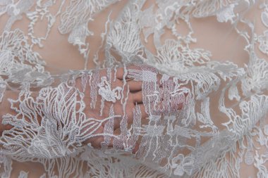 Doku danteli kumaş. Beyaz arka plan stüdyosunda dantel. İplik ya da iplikten yapılmış ince kumaş. Fildişi renkli dantel kumaşın arkaplan resmi. Bej arkaplanda beyaz dantel.