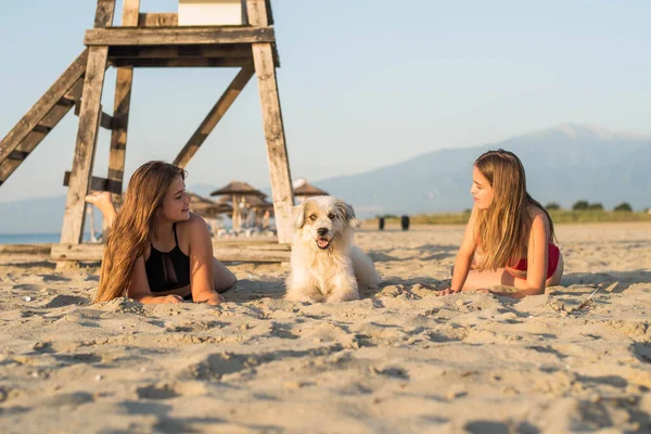 Summer holiday fashion concept. Girls sitting with dog on beach — 스톡 사진