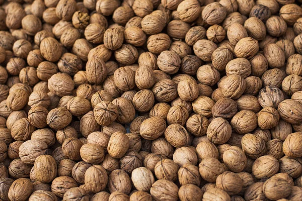 Walnuts with and without shells (filling the picture). Background of fresh walnuts. — Stock Photo, Image