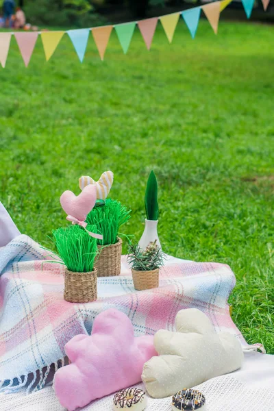 Decoraciones de picnic, enlatador, flores, frutas. mantel, cesta, comida sana y accesorios, vista superior, pan, baguette, alcohol, piruletas grandes. Pasteles, dulces. Felices vacaciones amigos concepto . — Foto de Stock