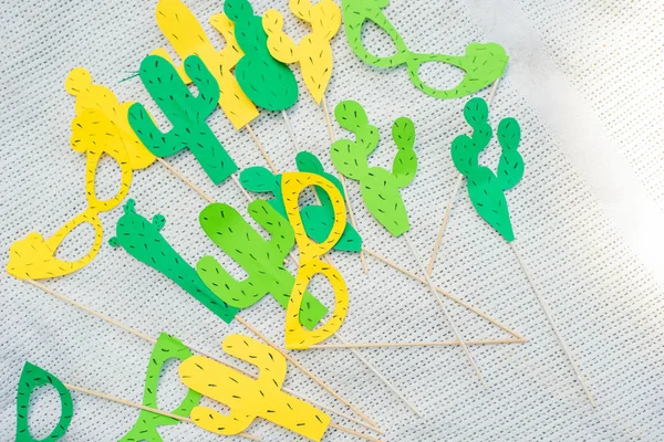 Concepto de verano. Fiesta de cactus, picnic, día — Foto de Stock