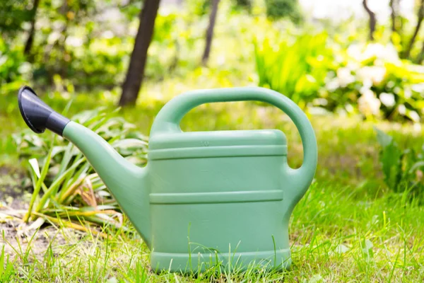 The device for watering flowers in the garden. Garden watering can on grass in the spring garden.