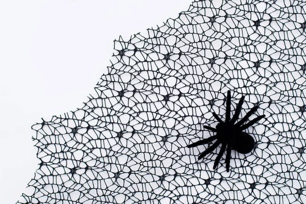 Halloween Decoratie Horror Concept Decoratie Van Kunstmatige Spinnenweb Met Spin — Stockfoto