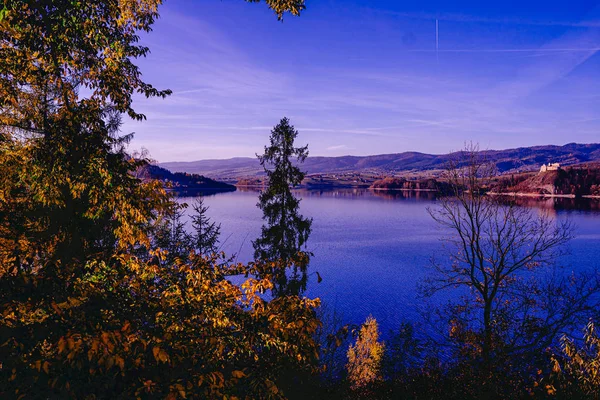 Landschaft Mit Bäumen Und See Den Bergen — Stockfoto