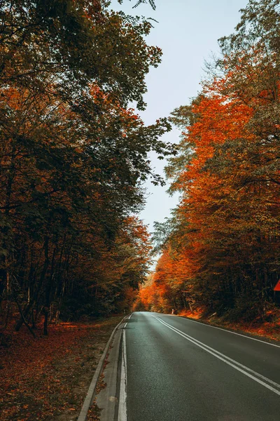 Estrada Outono Cênico Colorido — Fotografia de Stock