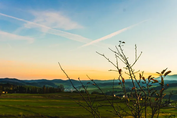 Sonnenuntergang Über Einem Weizenfeld Den Bergen — Stockfoto
