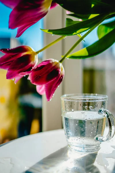 Tulpen Met Glas Water Stockafbeelding