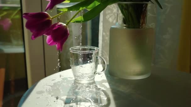 Ρίχνει Νερό Γυαλί Και Λουλούδι Στο Βάζο — Αρχείο Βίντεο