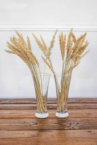 Otoño espigas de oro de trigo coloreadas en jarrón — Foto de Stock