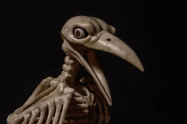 Esqueleto de um corvo com olhos humanos sobre um fundo preto — Fotografia de Stock