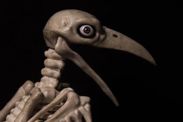 Esqueleto Corvo Com Olhos Humanos Sobre Fundo Preto — Fotografia de Stock