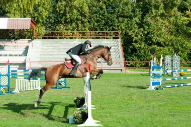 Genç adam jokey güzel kahverengi ata binmek ve atlı spor kasık üzerinden atlamak