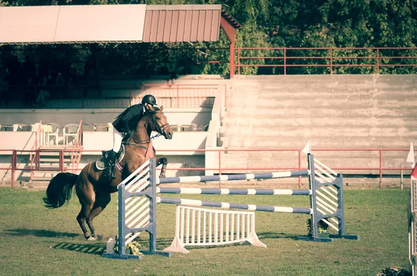 Young Man Jockey Ride Beautiful Brown Horse Jump Crotch Equestrian — Stock Photo, Image