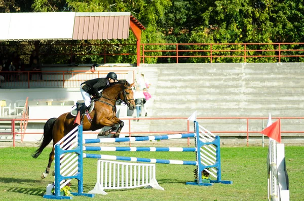 若い男騎手は美しい茶色の馬に乗るし 馬術スポーツで股を飛び越える — ストック写真