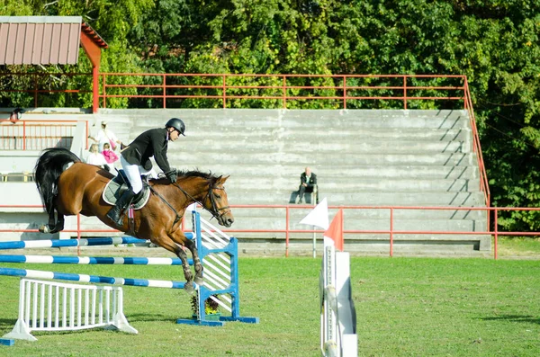 Jongeman Jockey Mooi Bruin Paard Rijden Springen Het Kruis Hippische — Stockfoto