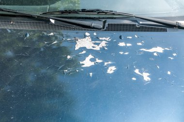 Mavi renk araba Hood çatlaklar ile hasarlı boya ile görüntülemek ve çizik noktalar peeling