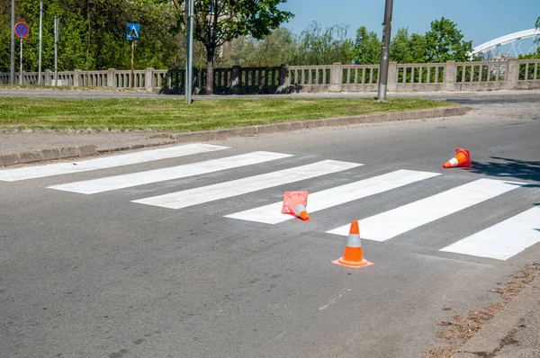 Orange traffic safety cones barriers on the street protect fresh white paint on the pedestrian crosswalk