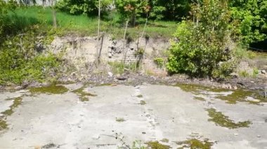 Şehirdeki boş bina ya da arazi yabani otlara dönüştü.