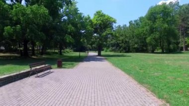 Güneşli yaz gününde yeşil ağaçlar ve çalılarla parkta yürüyüş yapan ilk insan görüntüsü veya perspektif.