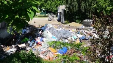 Yeşil çimenlerin üzerindeki siyah plastik çöp torbaları parktaki çöp ve çöplerle çevreyi ve doğayı kirletiyor.