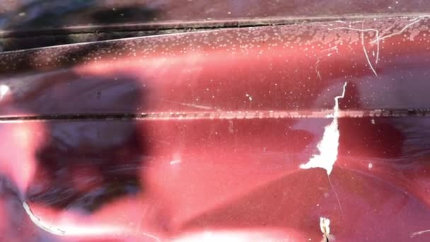 Czerwony Samochód Uszkodzoną Farbą Wypadku Drogowym Lub Parkingu Wgniecionym Metalowym — Wideo stockowe