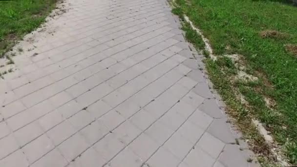 Första Person Perspektiv Eller Visa Promenader Den Asfalterade Trottoaren Eller — Stockvideo